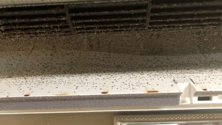 Elimina fácilmente el moho de tu minisplit como un profesional; cuida la salud de tu familia