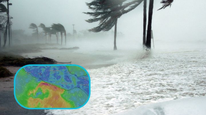 Tormenta tropical 'Dalila': autoridades alertan a 9 estados por su presencia; trayectoria EN VIVO