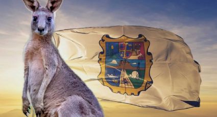 ¿El canguro mexicano?; así se le conoce a este animal que habita en Tamaulipas