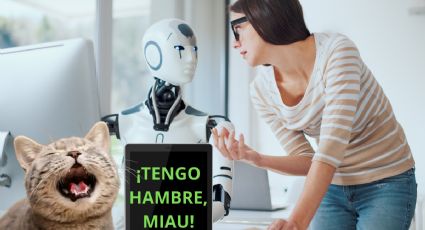 IA te ayuda a ‘traducir’ los maullidos de tu gato; ¿cómo funciona?