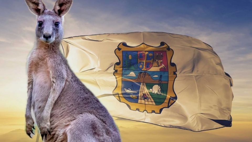 Conoce al 'canguro mexicano'.