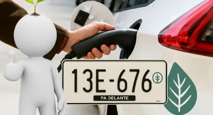 ¿Qué significa la hojita verde en las placas vehiculares?