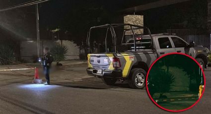BMW atropella y mata a querido vecino de Santiago; su perrita permaneció junto al cuerpo