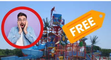 Texas: Teen All-Access Pass, el programa con el que podrás ir a museos, parques y zoológicos gratis