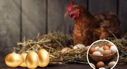 ¿Huevos de oro?; el kilo de este producto aumentó considerablemente en estos estados