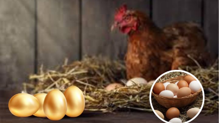 ¿Huevos de oro?; el kilo de este producto aumentó considerablemente en estos estados