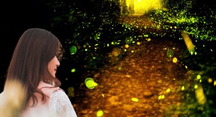 Temporada de Luciérnagas 2025: ¿dónde podrás ver este gran espectáculo de miles luces naturales?