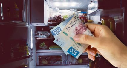 Medidas para que tu refrigerador consuma hasta 30% menos de electricidad