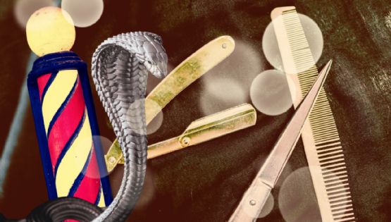 Serpientes y barberías; ¿conoces la misteriosa relación que tienen?
