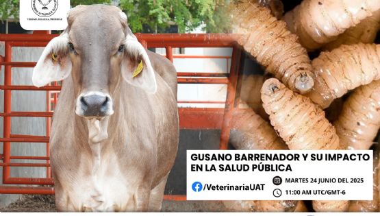 Dará la UAT conferencias sobre gusano barrenador y su impacto en la salud pública