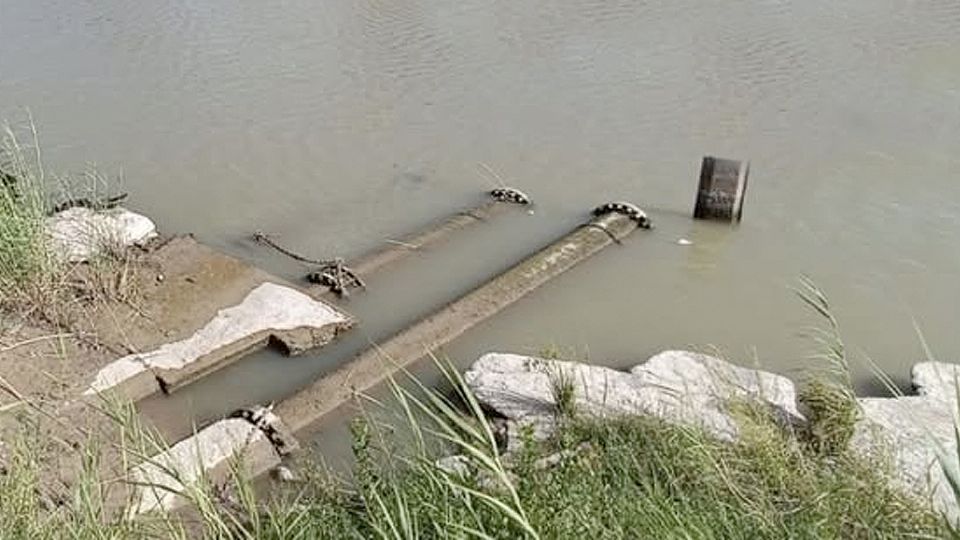 Nivel es insuficiente para las bombas de Comapa.