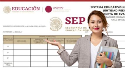 Calificaciones SEP 2025: en esta fecha se registran las evaluaciones de los alumnos