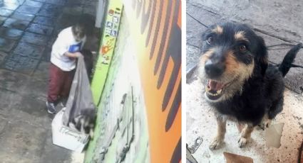 Indigente le roba su cobijita a Blacky, un perrito de la calle; mujer se entera y lo adopta | VIDEO