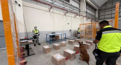 Gabinete de Seguridad detiene a ocho peligrosos maleantes; les confiscan armas y droga