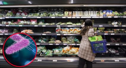 Alerta sanitaria en Estados Unidos: retiran ensaladas contaminadas con salmonela, ¿cómo identificarlas?