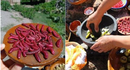Este pueblito mexicano es el mejor para comer insectos; chinicuiles, gusanos, escamoles y más