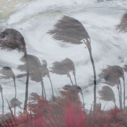 ¡Vientos huracanados! 'Barry' ya es tormenta tropical y está a 'las afueras' de Tampico