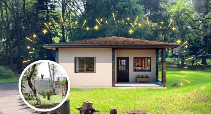 Hombres construyen su casa en medio de parque ecológico; vecinos denuncian destrucción ambiental