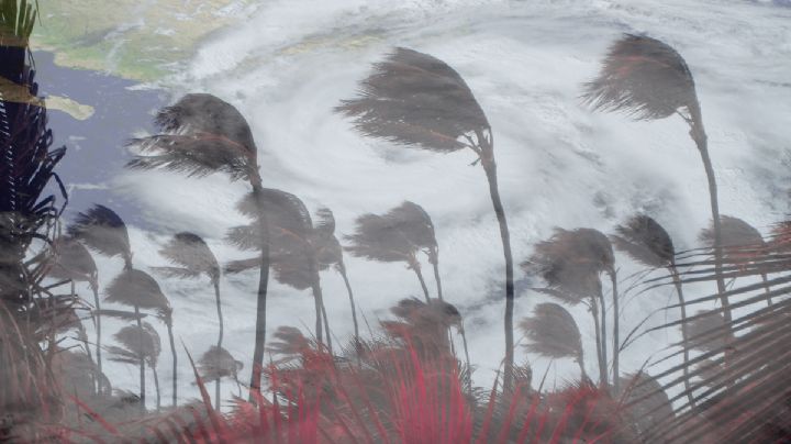 ¡Vientos huracanados! 'Barry' ya es tormenta tropical y está a 'las afueras' de Tampico