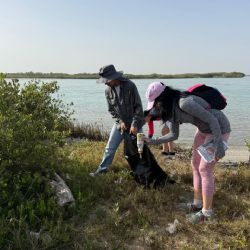 Colabora la UAT en la conservación del mangle en el litoral tamaulipeco