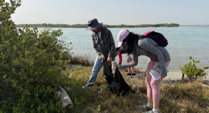 Colabora la UAT en la conservación del mangle en el litoral tamaulipeco
