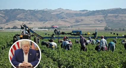 Trump podría otorgar 'pase temporal' a EU para migrantes trabajadores; ¿de qué se trata?