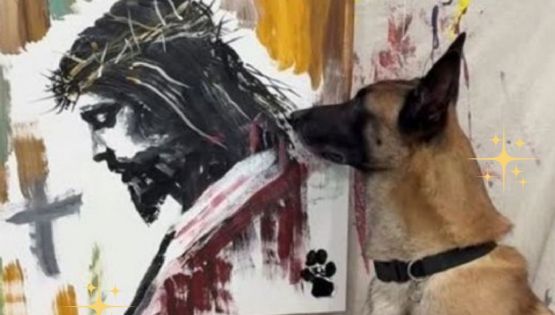 Perrito artista se viraliza en redes; pintó la cara de Cristo | VIDEO