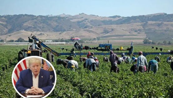Trump podría otorgar 'pase temporal' a EU para migrantes trabajadores; ¿de qué se trata?