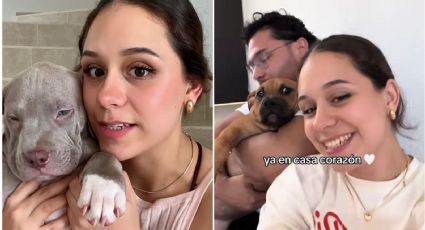 Tiktoker cuenta que aerolinea mexicana le intercambió a su perro; así fue la travesía para recuperarlo