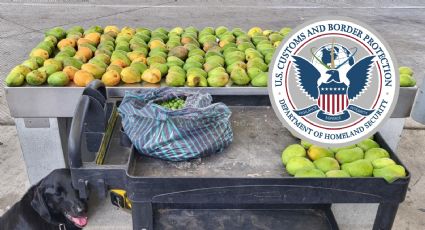 CBP: estos son los artículos prohibidos y restringidos al cruzar a EU desde México