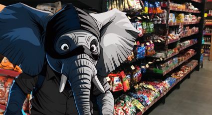 Elefante ‘ladrón’ irrumpe en tienda para robarse unos snacks; no es la primera vez | VIDEO