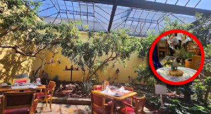 Sanborns de los Pajaritos: el restaurante donde comes con periquitos volando entre las mesas