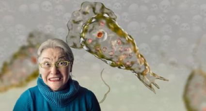 Texas: abuelita muere por bacteria 'comecerebros'; de esta manera se infectó