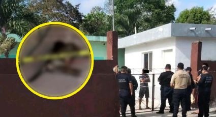 Perrito 'Robin' es asesinado por vecino que le disparó con rifle de diábolos; esto sucedió