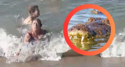 Lluvias arrastran cocodrilos al mar en Oaxaca; autoridades emiten alerta en playas | VIDEO
