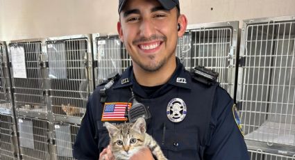 Charlie y Carlitos esperan ser adoptados en Laredo; ¿de quiénes se tratan?