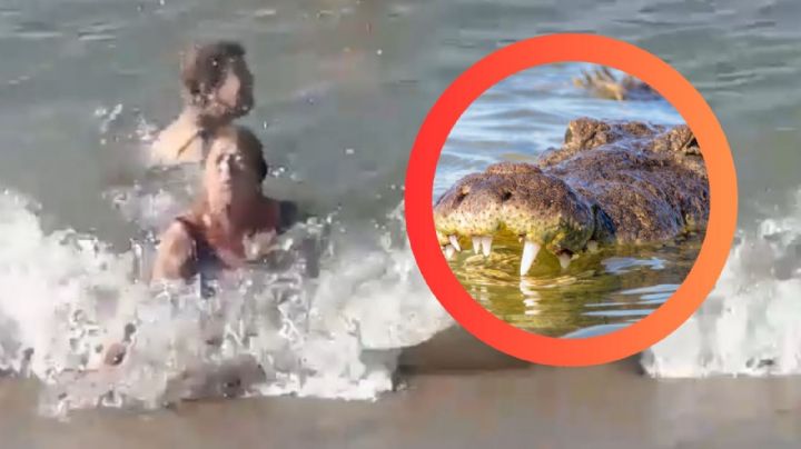 Lluvias arrastran cocodrilos al mar en Oaxaca; autoridades emiten alerta en playas | VIDEO