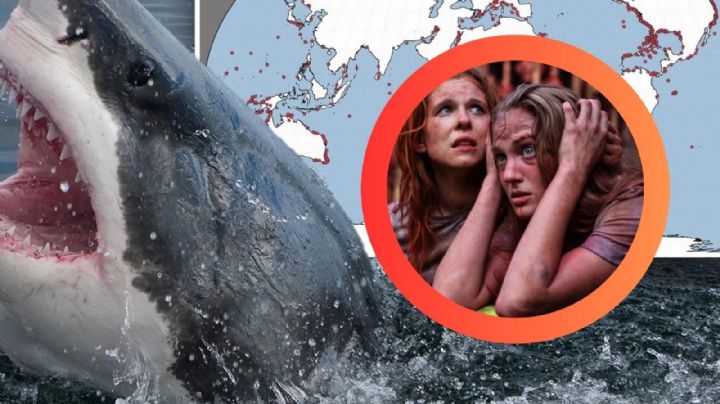 Este es el depredador que más carne humana 'consume'; no es el tiburón blanco