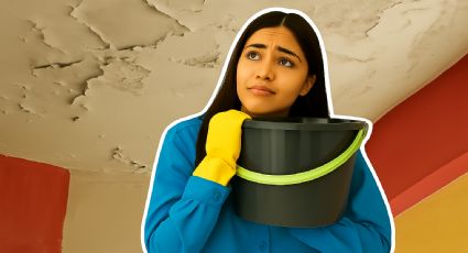Albañiles recomiendan el mejor sellador para grietas y goteras; no necesitarás impermeabilizante