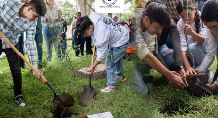 Impulsa la UAT el programa ambiental 'Jardines de Carrera'