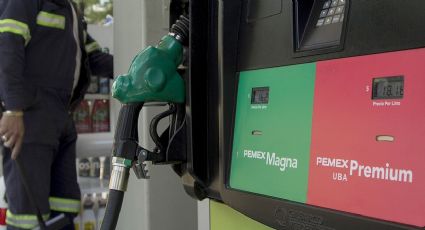 A estos autos no le debes poner gasolina magna porque podrían sufrir daño en el motor