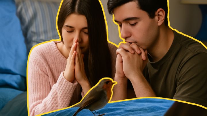 Esto significa que un pájaro entre a tu casa, según la ciencia; ¿un mal presagio o simple accidente?