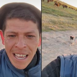 Joven se despide de su perrito del trabajo; lo despidieron de manera inesperada | VIDEO