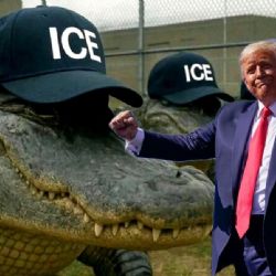 Trump se burla de los migrantes: 'les enseñaremos a huir de un caimán'