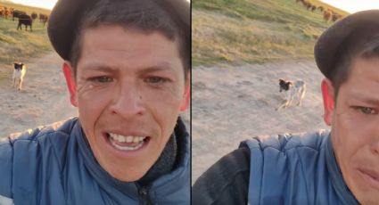 Joven se despide de su perrito del trabajo; lo despidieron de manera inesperada | VIDEO