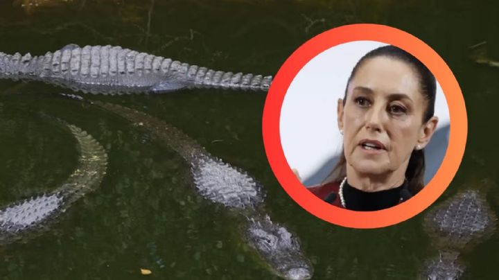 Claudia Sheinbaum rechaza criminalización de migrantes tras apertura del centro Alligator Alcatraz
