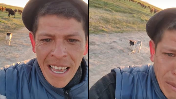 Joven se despide de su perrito del trabajo; lo despidieron de manera inesperada | VIDEO