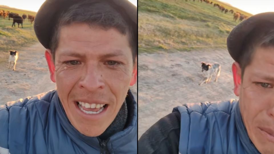 Hombre rompe en llanto al separarse del perrito de su trabajo tras ser despedido
