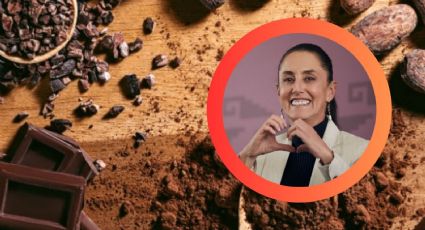 Presentan Chocolate Bienestar: saludable, accesible y hecho por productores mexicanos
