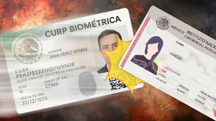 CURP biométrica reemplazará credencial del INE para estos trámites; será la única aceptada